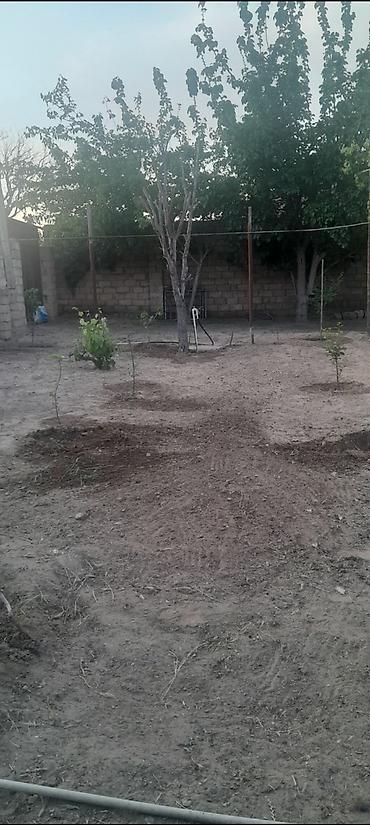 Torpaq sahələrinin satışı: 5 sot, Tikinti, Mülkiyyətçi, Bələdiyyə — 6