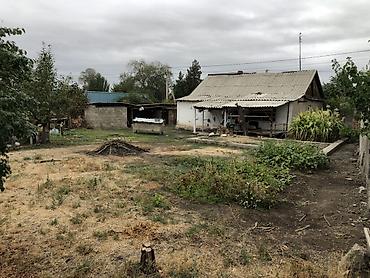 Үйлөр: Продаю дом село КУНТУУ по адресу Ашырбек 17. Красная книга есть — 7