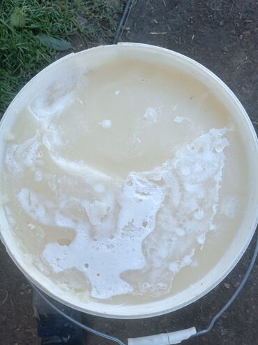 купить навесной кухонный шкаф: Мёд натуральный в пластиковых канистрах и ведрах - Продукт: густой