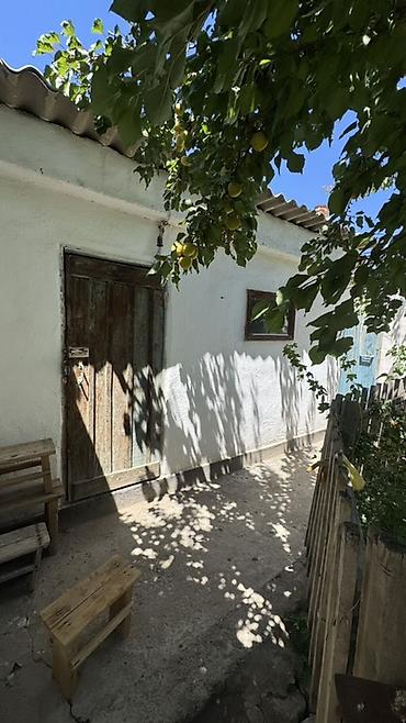 Продажа коттеджей и домов: 🏡 Продаётся дом в Балыкчы! 📍 Дом расположен в хорошем, развитом — 11