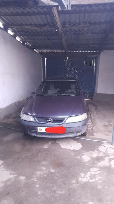 Opel: Opel Vectra: 1998 г., 1.8 л, Механика, Бензин, Хэтчбэк