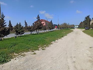 продается бизнес: 12 соток, Для строительства, Риэлтор, Купчая, Техпаспорт — 3