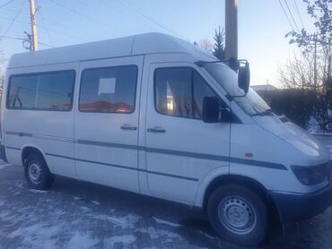 рассрочку спринтер: Mercedes-Benz Sprinter: 1999 г., 2.9 л, Механика, Дизель, Бус