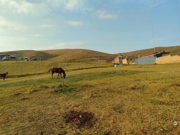 samaxida torpaq: 4 sot, Tikinti, Mülkiyyətçi, Kupça (Çıxarış)