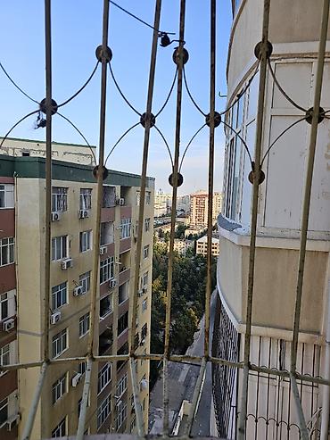 Mənzillər: Uzunmüddətli Kirayə verilir. Yeni tikilidir. Biri Yük biri Sərnişin — 10