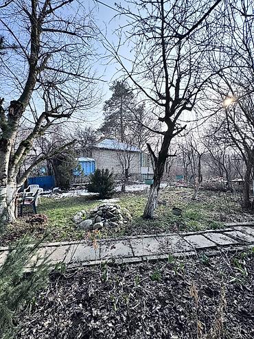 Продажа дач: Продаю Дачный домик ! Село Таш Мойнок ДОО « Горное» 6.5 соток — 4