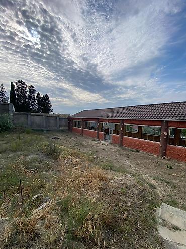 buzovnada torpaq: 20 sot, Tikinti, Mülkiyyətçi, Kupça (Çıxarış) — 2