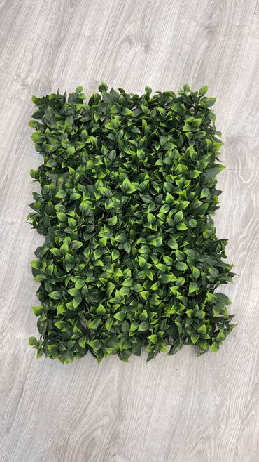 Digər ev dekoru: Depodanbi̇r başa satiş — 3