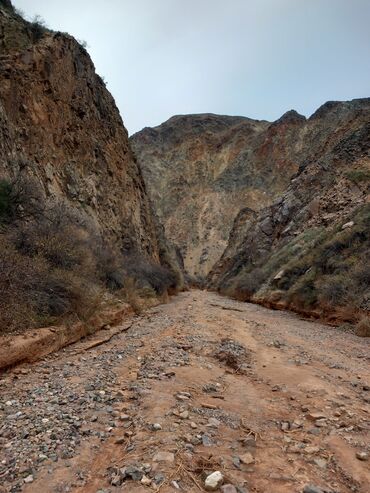 Трансфер, пассажирские перевозки: По региону, Аэропорт, По городу Такси, легковое авто | 4 мест at lalafo.kg — 24 Трансфер, пассажирские перевозки: По региону, Аэропорт, По городу Такси, легковое авто | 4 мест — 24