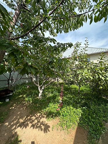 Продажа коттеджей и домов: Сдается на сезон — 17