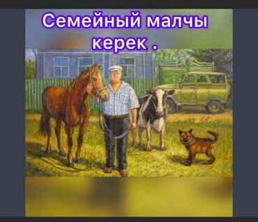 семейная баня на дровах: Требуется Скотник, Оплата Ежемесячно, Проживание