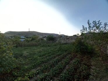 Torpaq sahələrinin satışı: 11 sot, Kənd təsərrüfatı, Kupça (Çıxarış) -da lalafo.az — 5 Torpaq sahələrinin satışı: 11 sot, Kənd təsərrüfatı, Kupça (Çıxarış) — 5