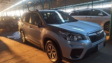 субару форестер радиатор: Subaru Forester: 2019 г., Бензин, Кроссовер