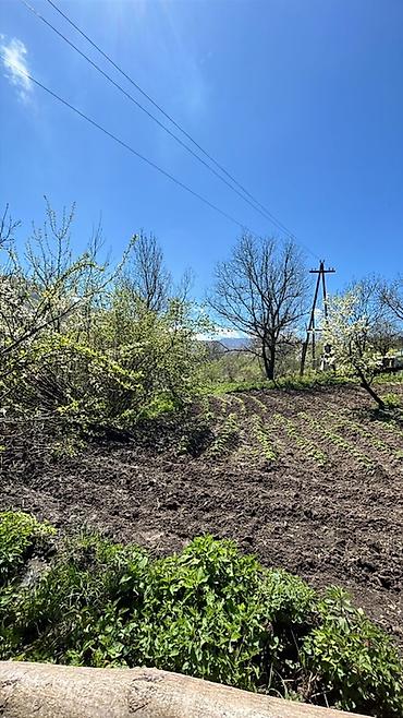 Həyət evləri və villaların satışı: 4 otaqlı, 12 kv. m, Orta təmir — 3