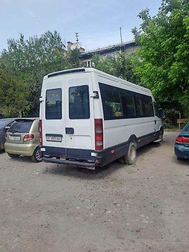 ивеко пассажирский: Iveco Daily: 2010 г., Бус — 1