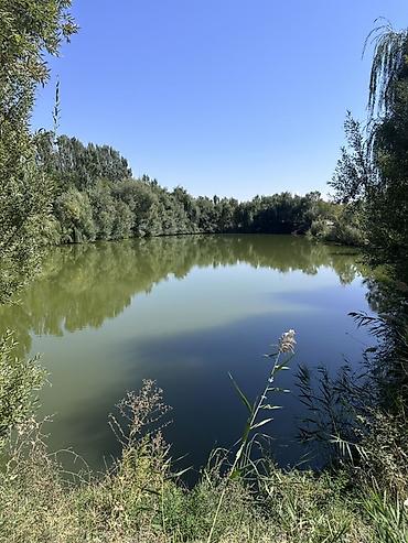 балыкчы пляж: Для бизнеса — 1