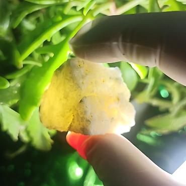 şəffaf klyonka: Kolleksiyamdakı Parlaq Təbii Daşların Satışı | Mineral • Kristal • — 2