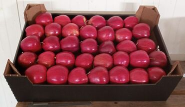 Яблоки: Яблоки — 11