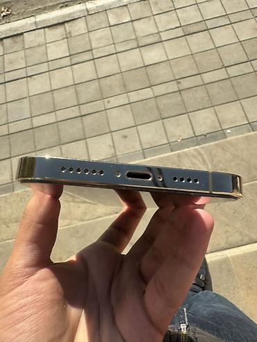 apple notebook: IPhone 12 Pro Max, 128 GB, Gümüşü, Face ID — 3