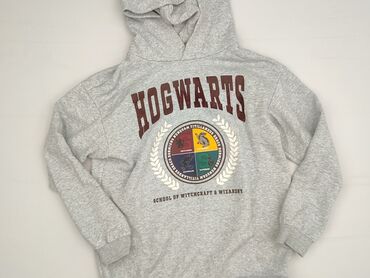 koszulki harry potter: Sweatshirt, Harry Potter, 12 years, 146-152 cm, condition - Perfect