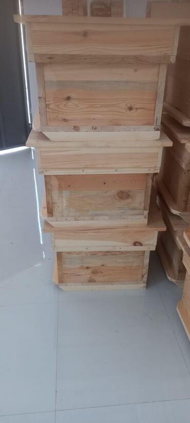 arı ailəsi satışı elanları 2023: Arı yesiyi satilir
Qiymet 10 ededdi 80 azn
Unvan Pasolka Kirova