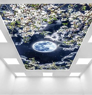 Натяжной потолок: Натяжной потолок 3D потолки, Глянцевое, Матовое Гарантия — 3