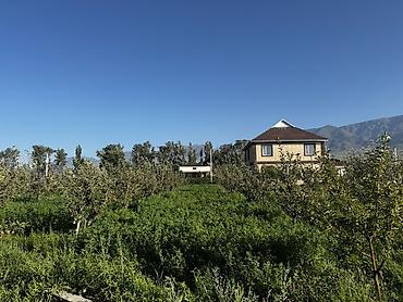 talisman village: 10 соток, Красная книга — 2