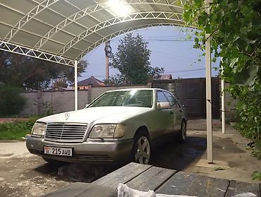 Mercedes-Benz S-Class: 1992 г., 4.2 л, Автомат, Бензин, Седан