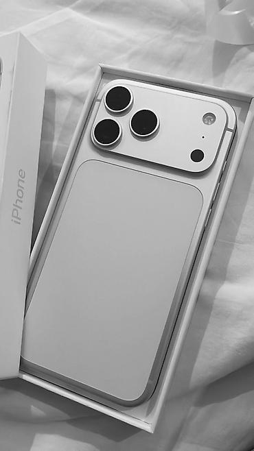 IPhone 17 Pro Max, Новый, 256 ГБ, Matte Silver, Зарядное устройство, Защитное стекло, Чехол