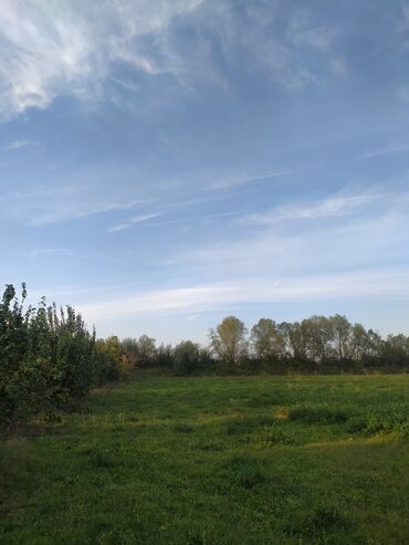 Torpaq sahələrinin satışı: 203 sot, Kənd təsərrüfatı, Makler, Kupça (Çıxarış), Bələdiyyə, Texniki pasport -da lalafo.az — 5 Torpaq sahələrinin satışı: 203 sot, Kənd təsərrüfatı, Makler, Kupça (Çıxarış), Bələdiyyə, Texniki pasport — 5