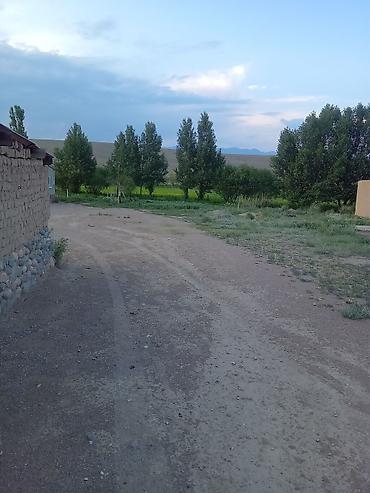 Продажа дач: Жакшы жер мал бакканга ылайыкту кызыл китеби бар жердикида уйдукуда — 10