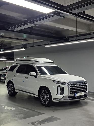 Hyundai: Hyundai Palisade: 2020 г., Кроссовер — 2