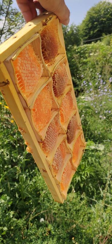 Bal: ELF BEE'S 1977 ECO-PRODUCT FOR HEALTH AND LONGEVITY Tovuzun -da lalafo.az — 19 Bal: ELF BEE'S 1977 ECO-PRODUCT FOR HEALTH AND LONGEVITY Tovuzun — 19