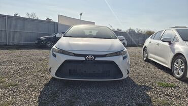 автомойка ручной: Toyota Corolla: 2021 г., 1.5 л, Автомат, Бензин, Седан