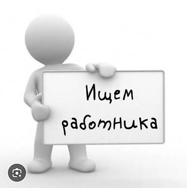 Чалгыла повар кондитер керек школа столовый