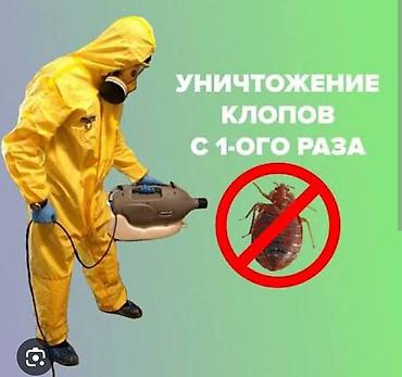 келемиш: Дезинфекциялоо, дезинсекциялоо, | Таракандар, Кумурскалар, Вирустар, микробдор, | Батирлер — 4