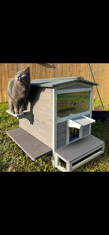 Yuvalar: Məhsul: Pişiklər üçün çoxfunksiyalı evlər və mebel - Daxili pişik — 17