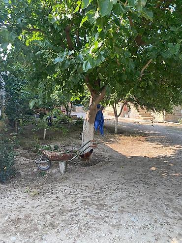 Torpaq sahələrinin satışı: 7 sot, Tikinti, Kupça (Çıxarış) — 4