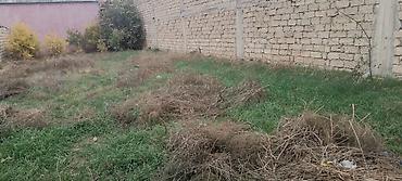 torpaq saray: 3 sot, Tikinti, Mülkiyyətçi, Kupça (Çıxarış) — 6