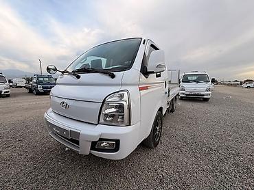 sonata 2009: Hyundai Porter: 2019 г., 2.5 л, Типтроник, Дизель, Бус — 1