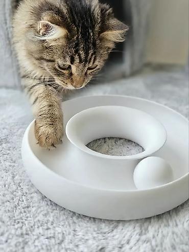 ilan oyuncaq: 🐾 Pişiklər üçün İnteraktiv Oyuncaq Pişiyinizin həm əylənməsi, həm də — 1