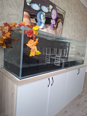 купить аквариум: Boş, 560 l, Ünvandan götürmə
