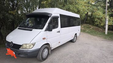 спритер двух скат: Mercedes-Benz Спринтер: 2002 г., 2.9 л, Механика, Дизель, Бус