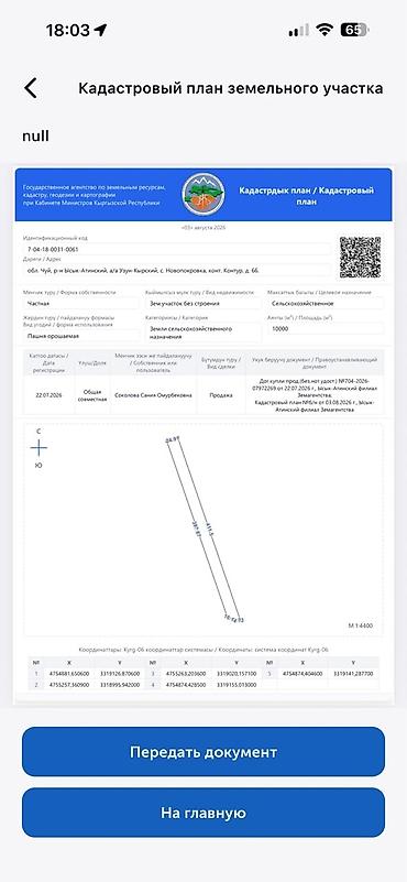дом или участок: 1000 соток, Для сельского хозяйства, Договор купли-продажи — 4