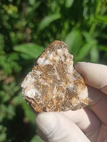cib saatı: Milyon İllik Tarixi Fosil 💎 Daşlaşmış Ağac ( Petrified Wood ) 🪵 ✨ Bu — 8