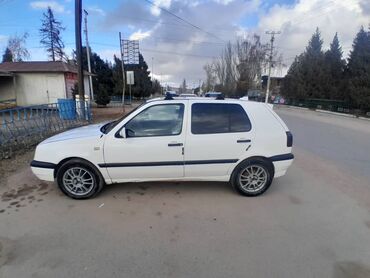 Volkswagen: Volkswagen Golf: 1993 г., 1.8 л, Механика, Бензин, Хэтчбэк