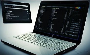 Организация мероприятий: Организация мероприятий | Музыканты — 1