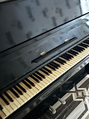 Digər musiqi alətləri: Piano, Akustik