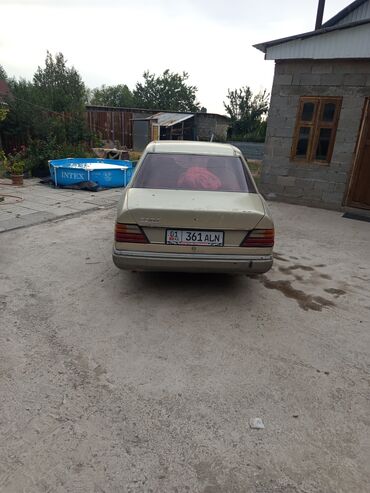 холодильник на спринтер: Mercedes-Benz W124: 1992 г., 2.3 л, Механика, Газ, Седан