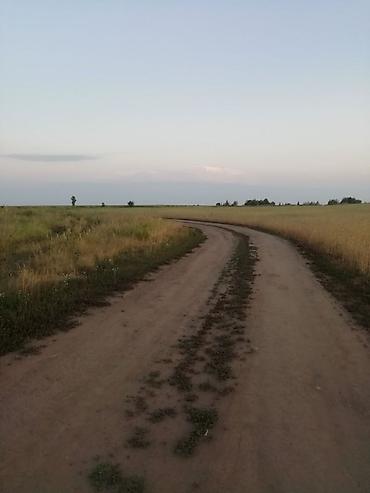 Жер тилкелерин сатуу: 135 соток, Айыл чарба үчүн, Кызыл китеп — 1